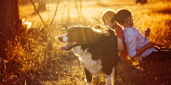 This New Season of Parenthood... I Don't Know If I Was Ready! Image